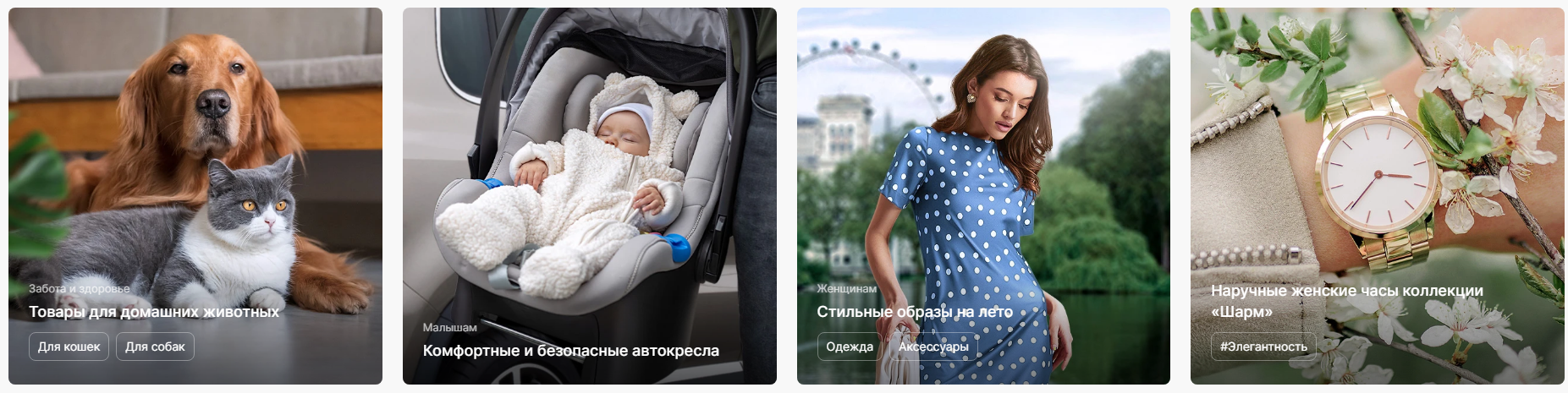 720903cc-7b5d-11f1-8fe4-fa163e2ff576