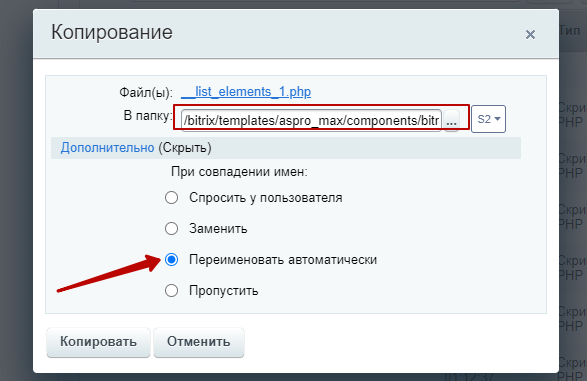 Копирование кастома