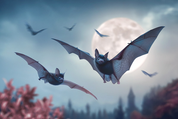 Впустите новую силу! -15% на услугу миграции сайта