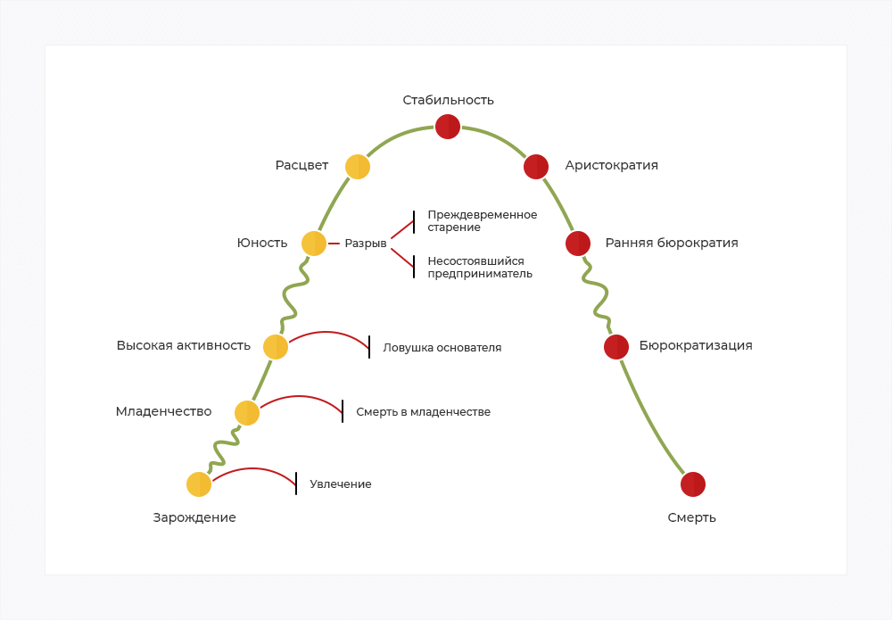 И Адизес стадии жизненного цикла компании. Цикл развития компании Адизес. Этапы жизненного цикла компании Адизес. Кривая жизненного цикла организации по Адизесу. Организация ее жизненный цикл