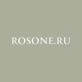 Алексей Лаут, Rosone.ru