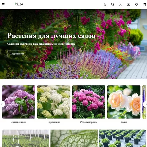 Сайт питомника растений «Ветка»