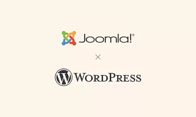 Joomla или WordPress — какую CMS выбрать  для сайта