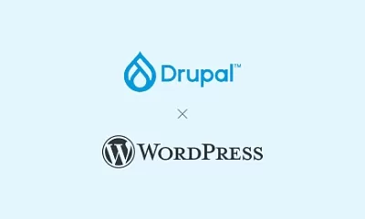 Drupal или WordPress — что лучше для сайта с учетом задач бизнеса
