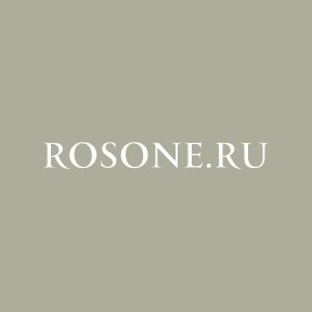 Алексей Лаут, Rosone.ru
