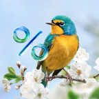 Запустите сайт со скидкой до 20%