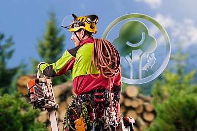 Интернет-магазин альпинистского снаряжения Arbostuff