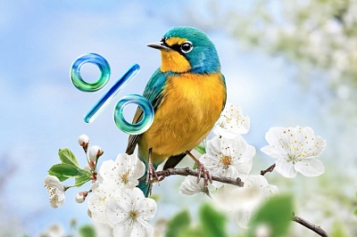 Весенняя акция: запустите сайт со скидкой до 20%